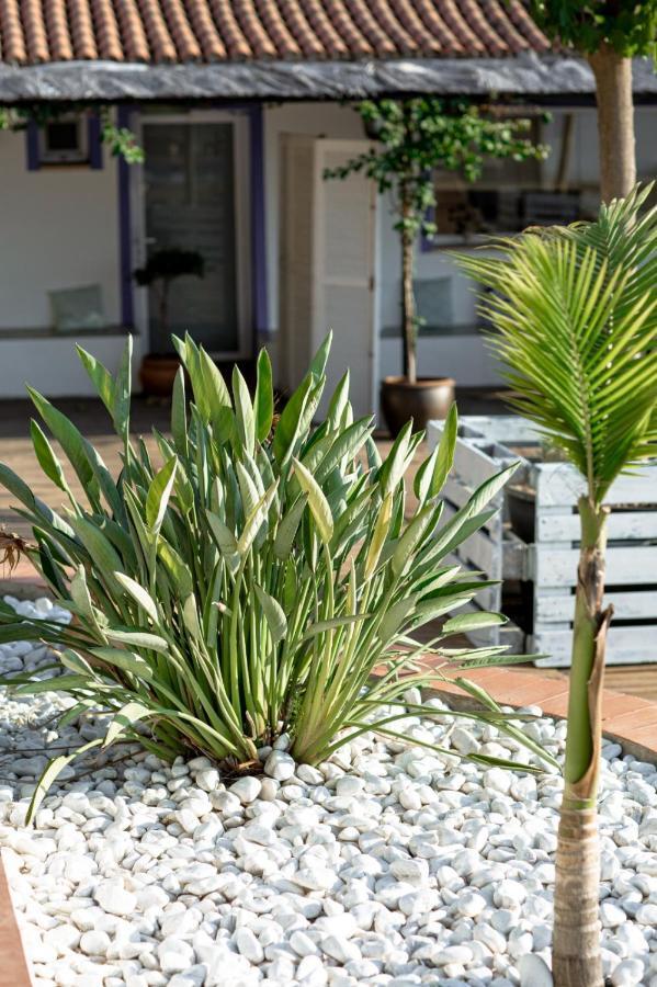 Finca De L'Angles. Levante Potries Ngoại thất bức ảnh